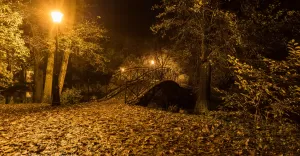 Park pszczyński nocą... - 4/5.11.2020