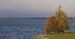 Goczałkowice-Zdrój w jesiennym kadrze