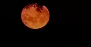 Wschód księżyca, Grzawa - 10.10.2022
