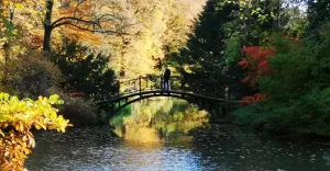 [ZDJĘCIA] Pszczyński park jesienią najpiękniejszy