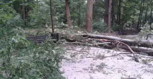Park po sobotniej nawałnicy - 26.06.2016