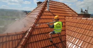 Szybkie i kompleksowe malowanie dachów