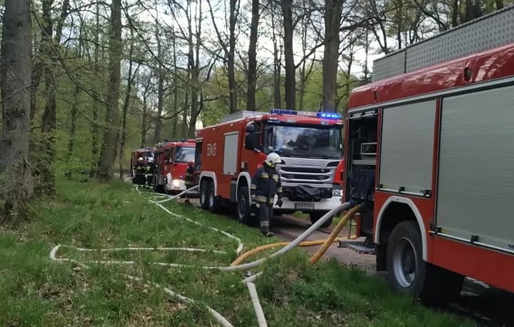 Pożar poszycia leśnego przy Łąckiej Grobli - 26.04.2020