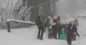 Wichurzanie na Wielkiej Raczy